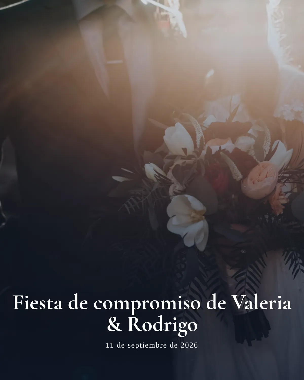 Vista previa de Fiesta de compromiso Editorial